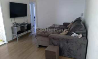 Imagem 3: Apartamento - Jardim Proença - Campinas