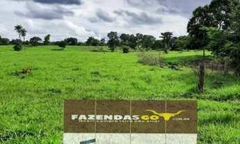 Imagem 4: Fazenda Extra - 40 Alqueires ! Região de Mutunopolis GO