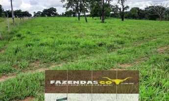 Imagem 5: Fazenda Extra - 40 Alqueires ! Região de Mutunopolis GO