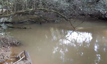 Imagem 7: COD:1745 Área de 12.000 m² em Congonhal