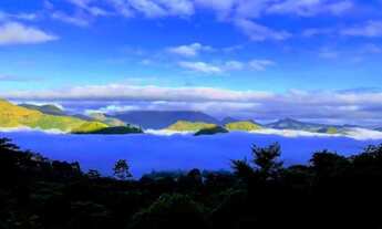 Imagem: Casa de 650 metros quadrados no bairro Samambaia