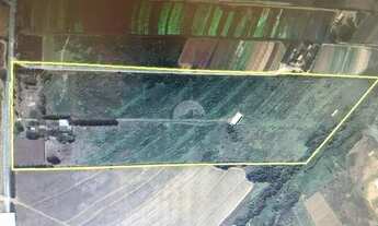 Imagem 4: área - Bonfim - Paulínia