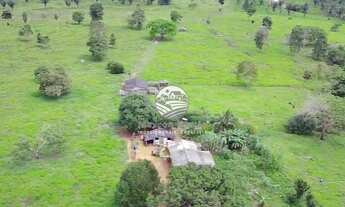 Imagem 4: Theobroma - Sítio - 10 alqueires Palmares