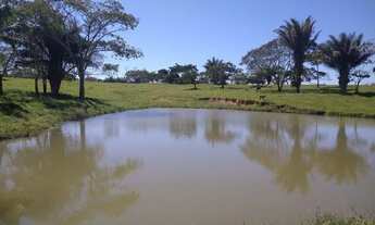 Imagem 4: Vendo Fazenda Fazenda / sítio com venda por R$400.000