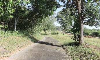 Imagem 5: Chácara 1500m2 recanto das araras (Bela Vista de Goiás