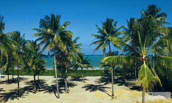 Imagem 3: Casa Fantástica oportunidade na Praia do Toque