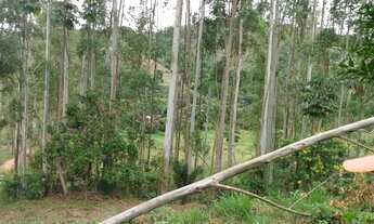 Imagem 3: Terreno Terreno / lote com venda por R$40.000