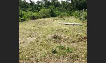 Imagem: Terreno medindo 10 x 30 no Vale da serra