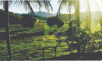 Imagem 2: Haras a venda em Casimiro de Abreu