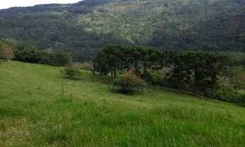 Imagem 4: Sítio em Canela!