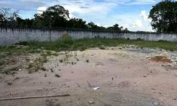 Imagem: Lote Cravo do Maicá 10x35