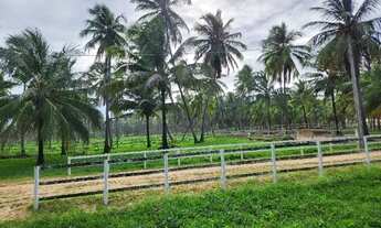 Imagem 4: Condomínio Country Mar