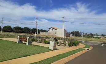 Imagem 3: Terreno - Cedral - Só $ 50 mil