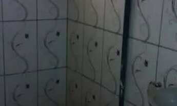 Imagem 4: Alugo casa no bairro George Oetterer