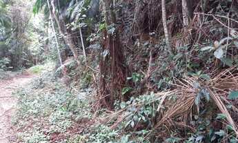 Imagem 3: Terreno à venda, 5200 m² por R$ 250.000,00 - Fazenda Boa Fé - Teresópolis/RJ