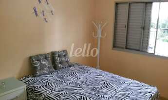 Imagem 7: São Bernardo do Campo - Apartamento Padrão - Rudge Ramos