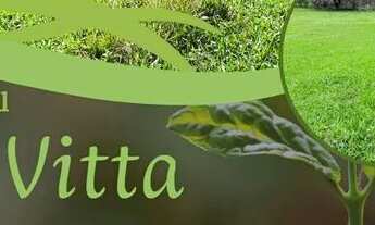 Imagem: LP - Terreno de 1.200m2, com negociação