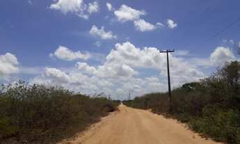 Imagem: Pechincha terreno p/ galpao ou gj a. Mineral