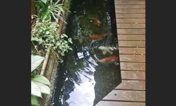 Imagem 2: Casa para Locação Jardim Guedala - Morumbi