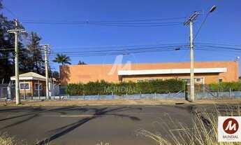 Imagem: Salão/Galpão (salão - térreo), cozinha