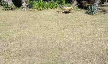 Imagem 3: Sítio em águas claras.