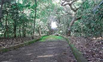 Imagem 6: Chácara 1500m2 recanto das araras (Bela Vista de Goiás