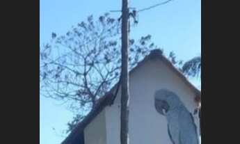 Imagem 4: Vendo lote em Sabará / Santa Luzia em condomínio Canto da Serra