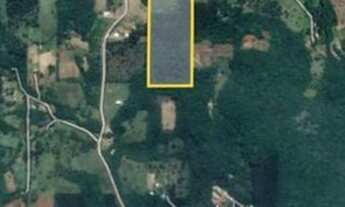 Imagem 6: Sítio "nobre" perto do centro Araricá 6.7 hectares