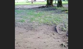 Imagem 6: Vende-se uma propriedade