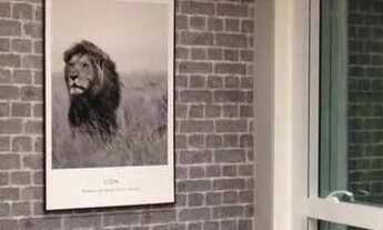 Imagem 5: Conjunto, 40 m² - venda por R$ 800.000,00 ou aluguel por R$ 4.000,00 - Cerqueira César - S