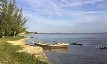 Imagem: Iguabinha na beira da praia
