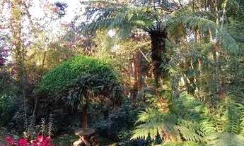 Imagem 2: Terreno no bairro Lago Negro em Gramado!