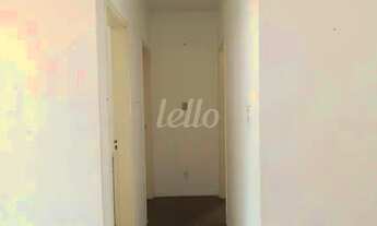 Imagem 4: São Paulo - Apartamento Padrão - Moema