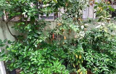 Imagem 12: Vende Casa de 3 Quartos, 180 m² por R$ 395.000 no Jardim Imbé