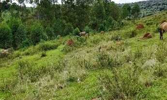 Imagem 6: Terreno de dois hequitares baratos
