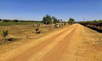 Imagem 7: Vendo chácara com plantação