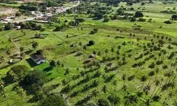 Imagem 4: Excelente fazenda com 50 hectares na região de São Gonçalo do Amarante cortada pelo rio Po