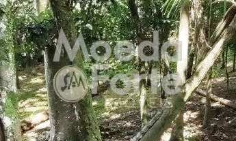 Imagem 7: RESIDENCIA, CONDOMÍNIO, 300,00 M2, 3 QUARTOS (1 SUITE), LINDO TERRENO COM 1.930,00 M2 (PAR