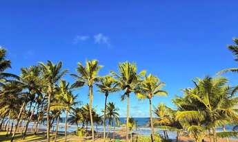 Imagem 6: Porto resort busca vida - casa pé na areia - mansão