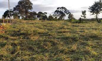 Imagem 5: Vendo chácara de mil metros