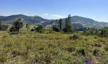 Imagem 6: TERRENO - GUAXINDUVA - SP