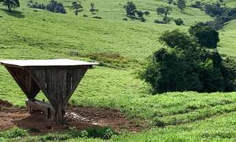Imagem: Fazenda a venda em Ipameri Goiás!!!