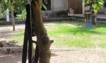 Imagem 4: LINDO SÍTIO PRA MORAR OU VERANEIO - 800M2 - 24X33