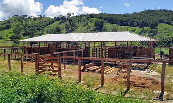 Imagem 7: Fazenda em Hitoraí