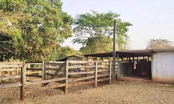 Imagem 7: Sítio 2,0 alqueires, muita água, entre Uberlândia e Monte Alegre