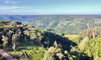 Imagem 4: INBOX CIA IMOBILILIÁRIA VENDE EM PINTO BANDEIRA - Área de terras com 2 hectares em Pinto B