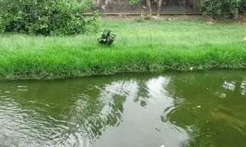 Imagem: LINDO SÍTIO PRA MORAR OU VERANEIO - 800M2