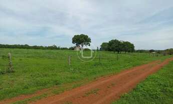 Imagem 2: PROPRIEDADE PRODUZINDO - 70 KM DE CUIABÁ