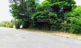 Imagem 7: Lote Terreno para venda possui 2260 metros quadrados em Ponta Negra - Manaus - AM Financia