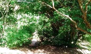 Imagem 6: *Ótima Oportunidade de Adquirir Sua Fazenda dos Sonhos!*